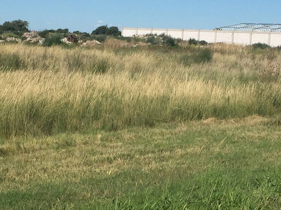 Terreno en Venta en Tomás Guido & Daniel De Solier, Parque Industrial, Bahía Blanca - Bahía Blanca Propiedades | SITIO OFICIAL l