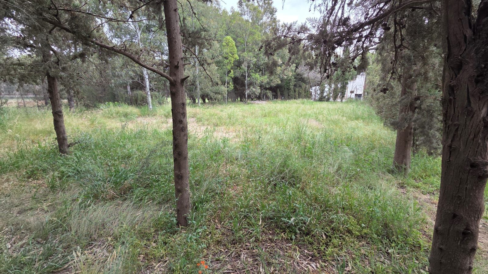 Terreno en Venta en Ayacucho 5950, Los Chañares, Bahía Blanca - Bahía Blanca Propiedades | SITIO OFICIAL l
