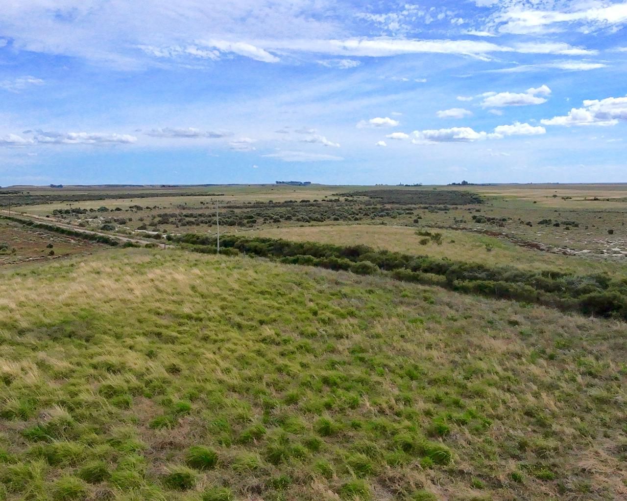 Campo  en Venta en A 4 Kilómetros De La Ruta 3.,  Teniente Origone - Bahía Blanca Propiedades | SITIO OFICIAL l