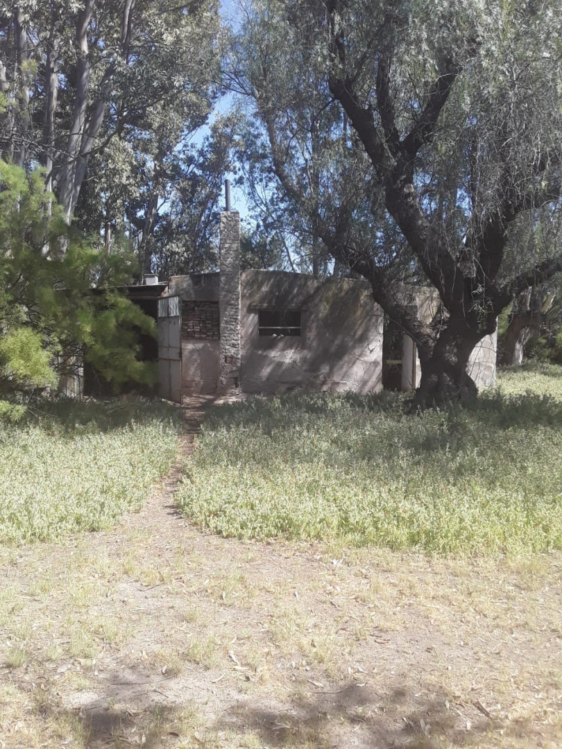 Campo  en Venta   Medanos - Bahía Blanca Propiedades | SITIO OFICIAL l