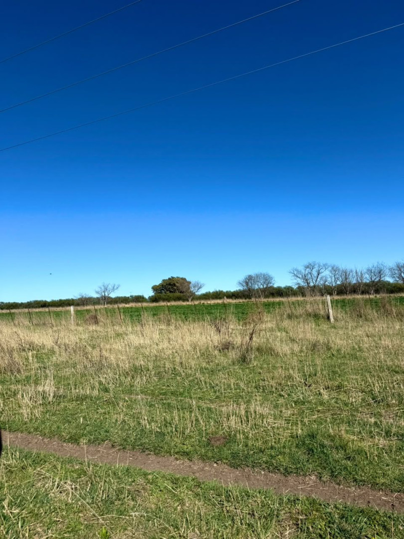 Campo  en Venta   Juan A. Pradere - Bahía Blanca Propiedades | SITIO OFICIAL l