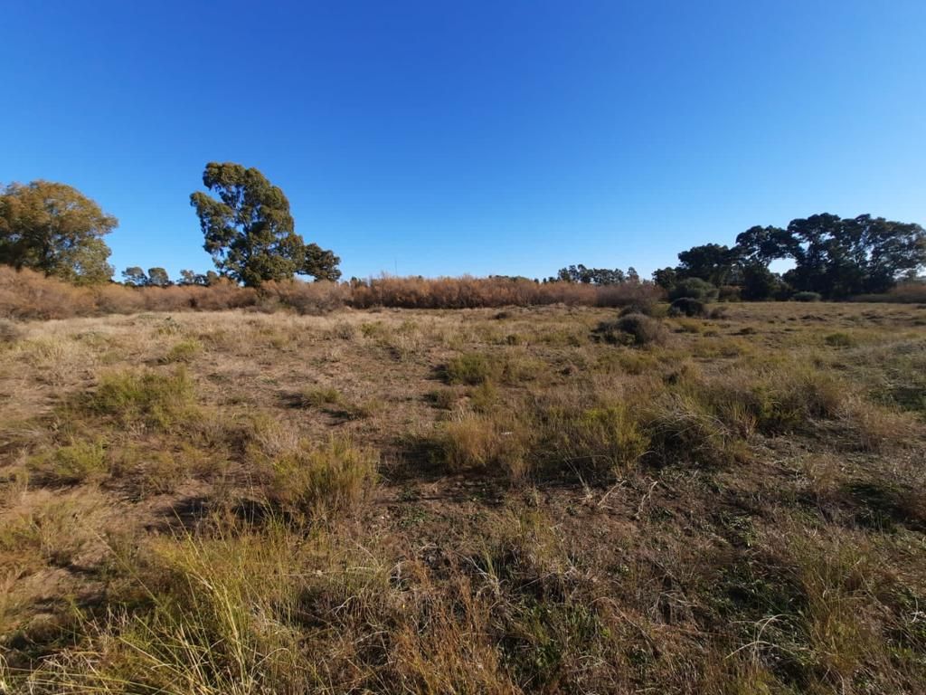 Terreno en Venta en Cabrera 3200,  Bahía Blanca - Bahía Blanca Propiedades | SITIO OFICIAL l