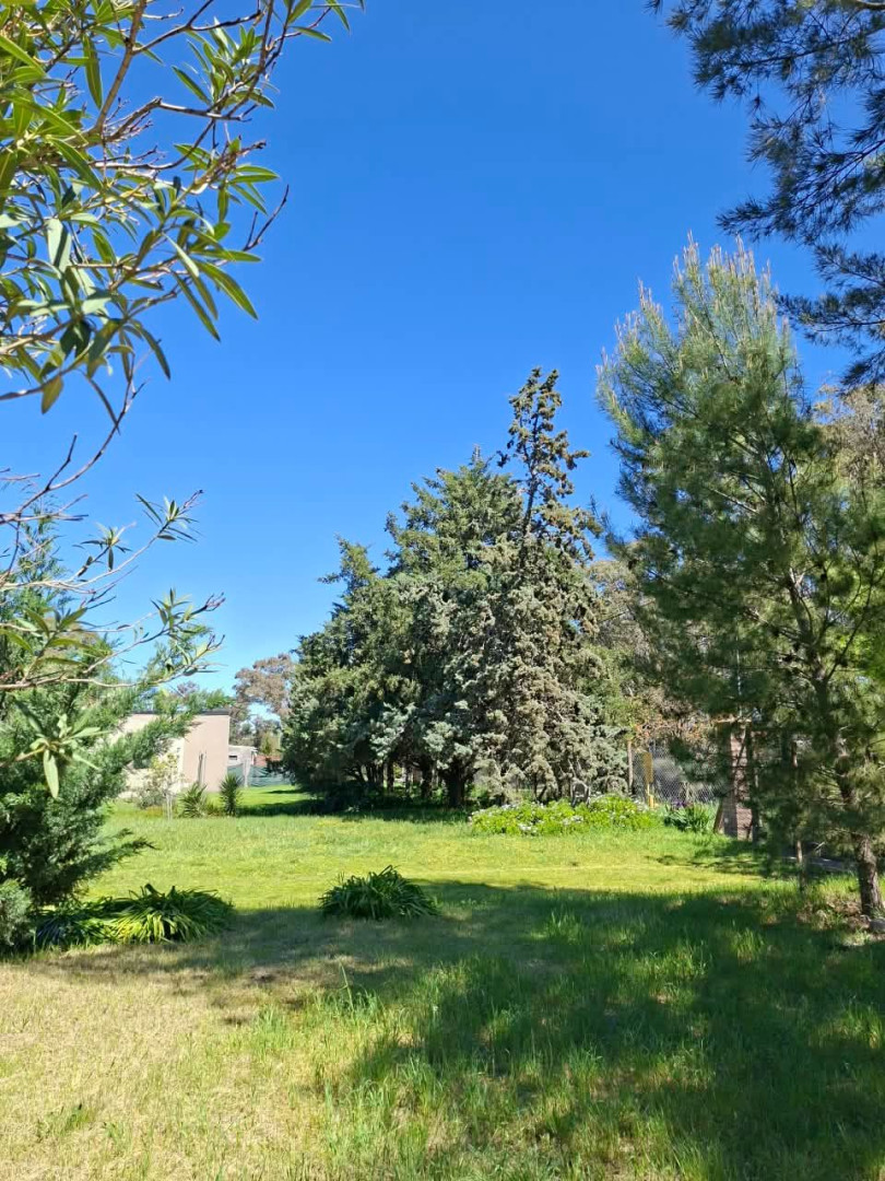 Casaquinta en Venta en Los Nogales Y Rawson, San Miguel, Bahía Blanca - Bahía Blanca Propiedades | SITIO OFICIAL l