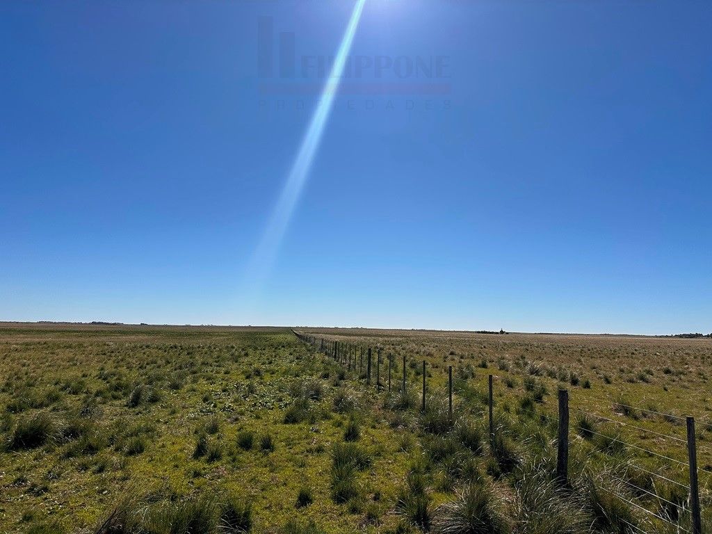 Campo  en Venta en Ruta 35 - Bahía Blanca Propiedades | SITIO OFICIAL l
