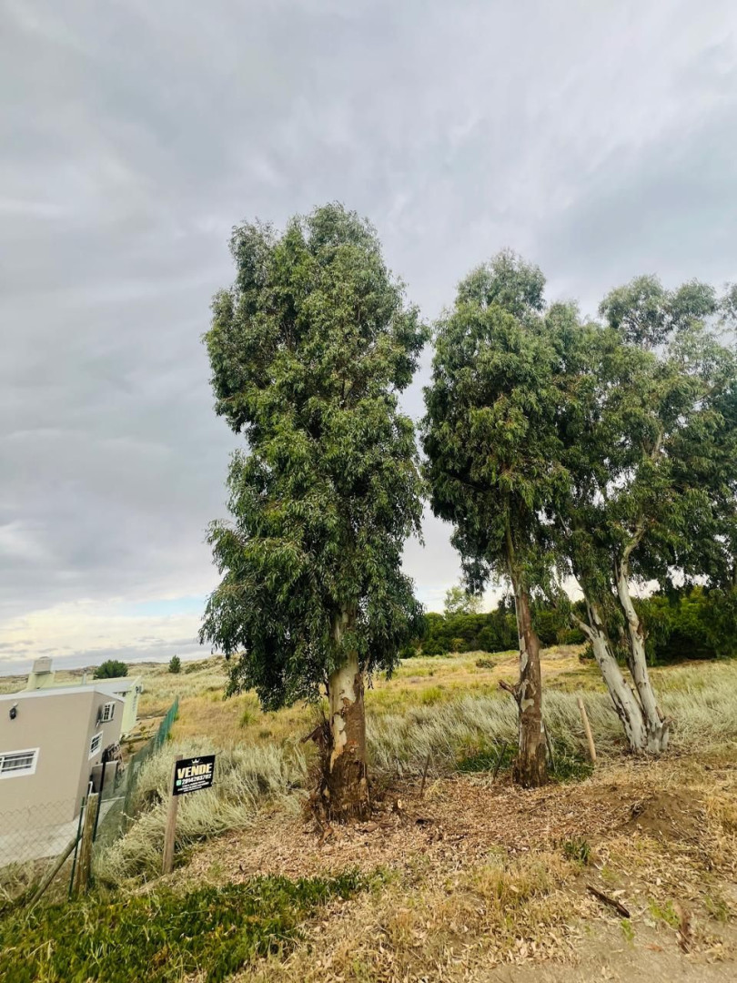 Terreno en Venta en Santa Clara, El Sauce, Monte Hermoso - Bahía Blanca Propiedades | SITIO OFICIAL l