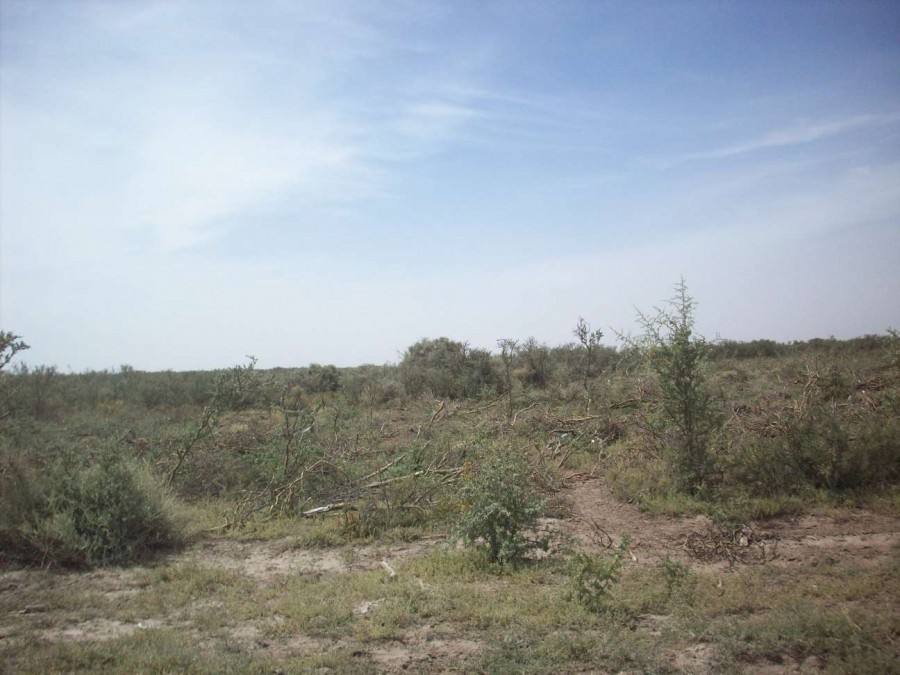 Campo  en Venta en Carmen De Patagones,  Carmen de Patagones - Bahía Blanca Propiedades | SITIO OFICIAL l