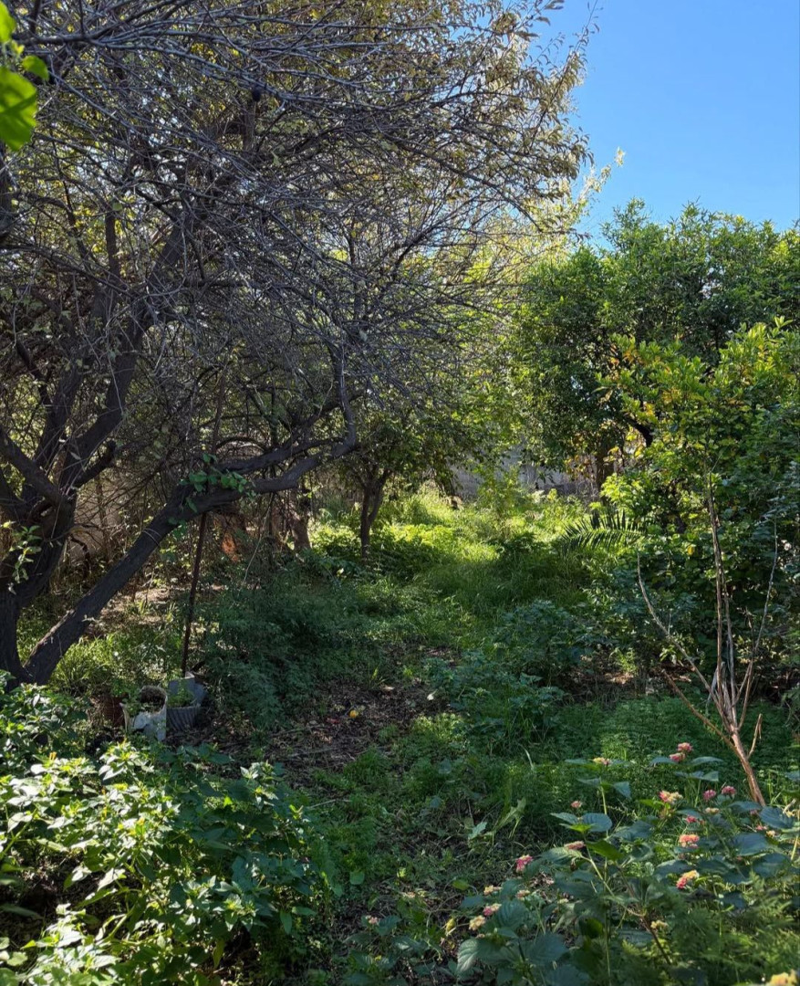 Casa en Venta en Estomba 1737, Universitario, Bahía Blanca - Bahía Blanca Propiedades | SITIO OFICIAL l
