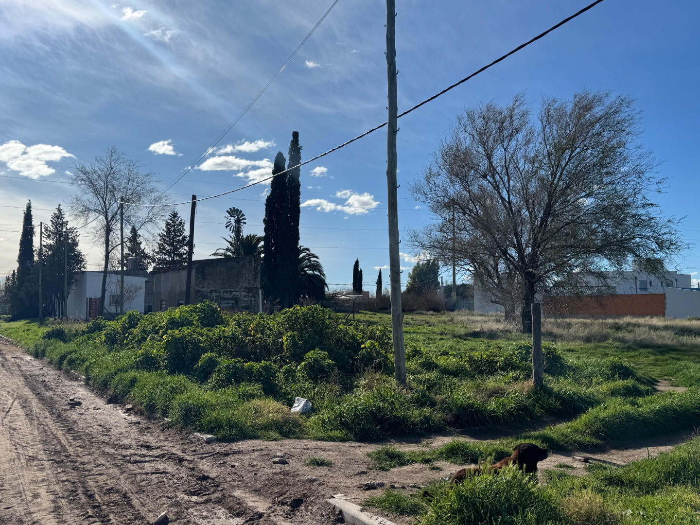 Terreno en Venta en Charcas Y Hernandarias, Las Acacias, Bahía Blanca - Bahía Blanca Propiedades | SITIO OFICIAL l