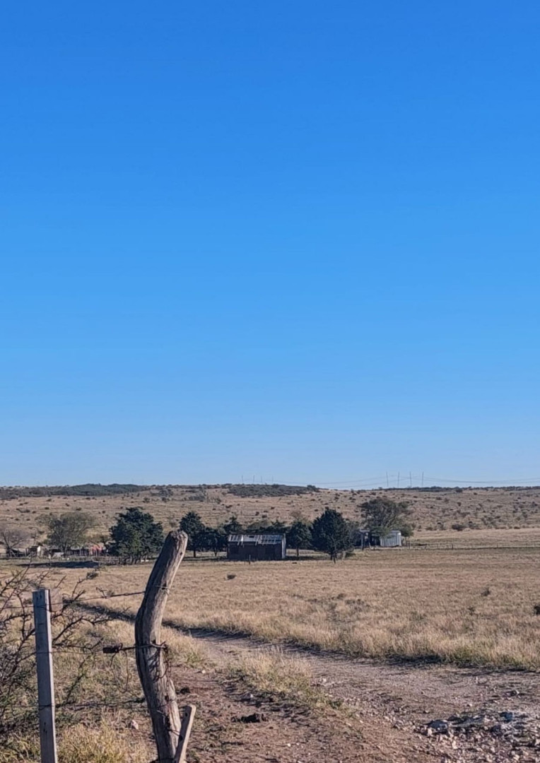Campo  en Alquiler   Bahía Blanca - Bahía Blanca Propiedades | SITIO OFICIAL l