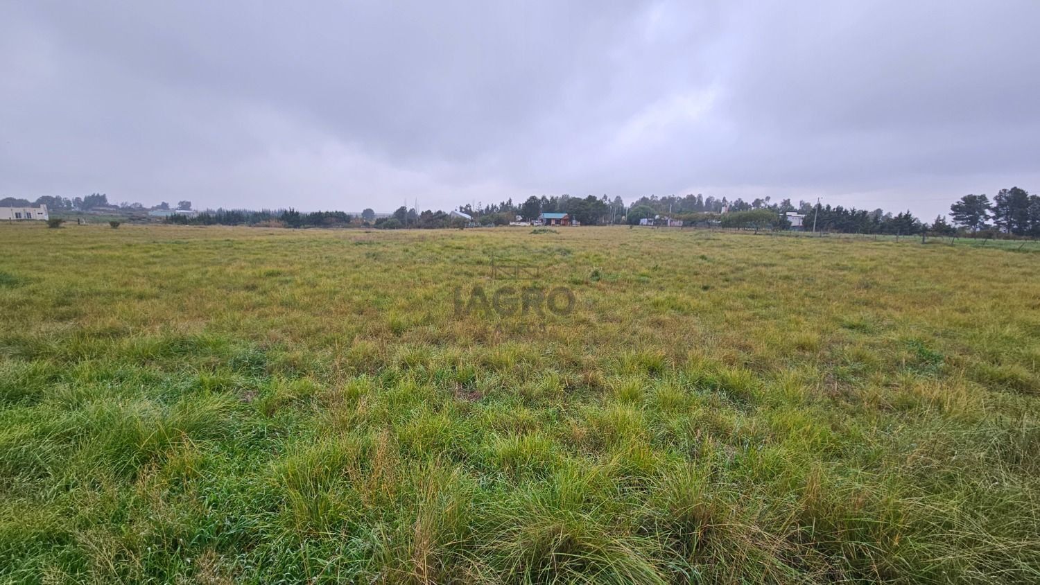 Terreno en Venta en Rigamonti Y Salvo, Villa Belgrano, Bahía Blanca - Bahía Blanca Propiedades | SITIO OFICIAL l
