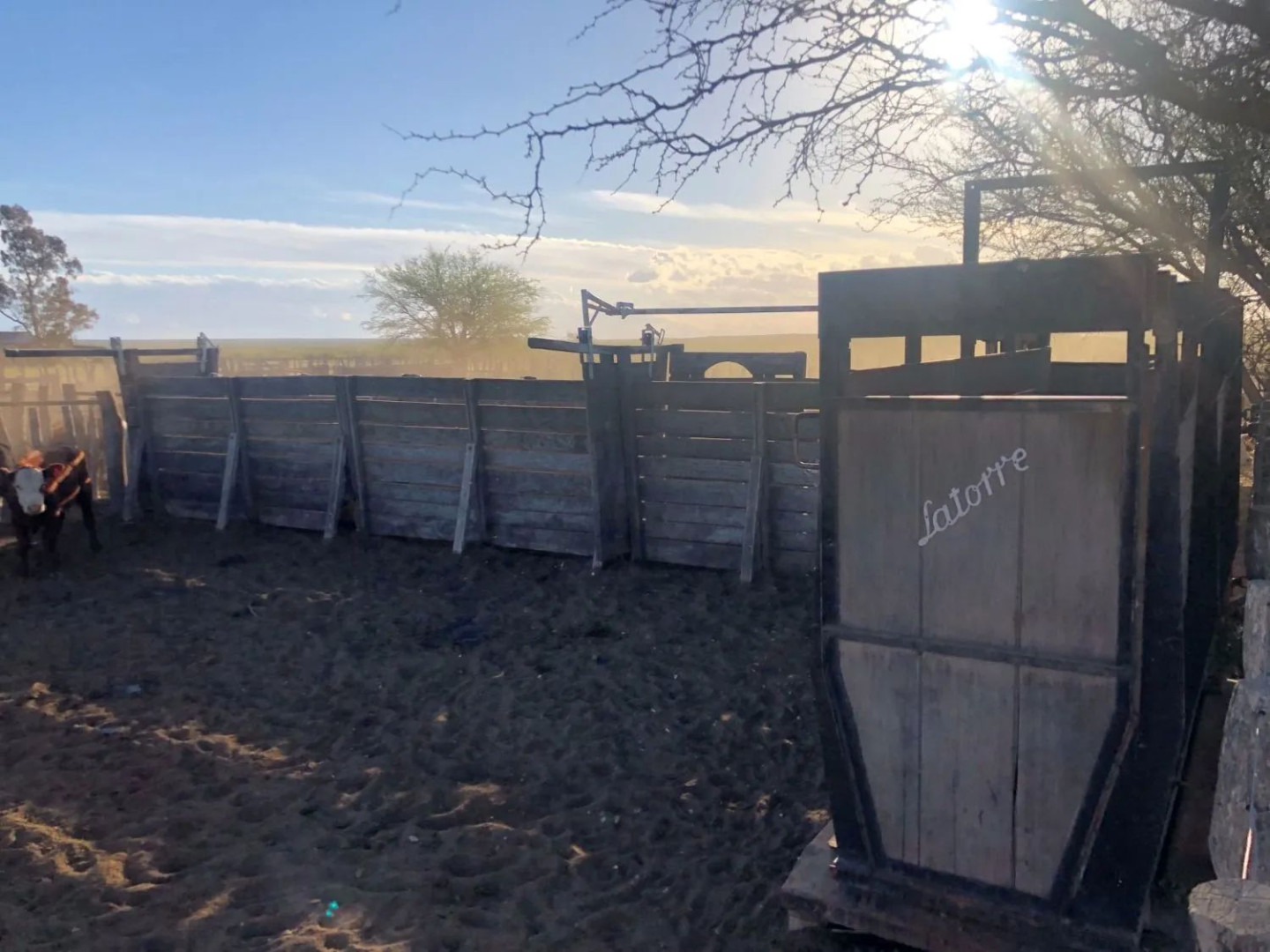 Campo  en Venta en Ruta Provincial 34,  Lihuel Calel - La Pampa - Bahía Blanca Propiedades | SITIO OFICIAL l
