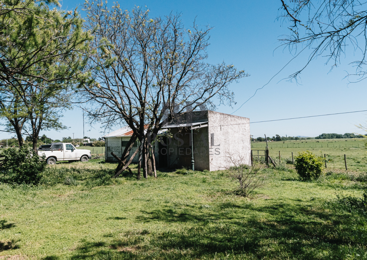 Campo  en Venta en MALVINAS Y TIERRA DEL FUEGO, SAAVEDRA,  Saavedra - Bahía Blanca Propiedades | SITIO OFICIAL l