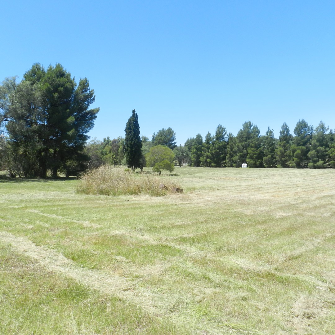 Terreno en Venta  San Carlos, Bahía Blanca - Bahía Blanca Propiedades | SITIO OFICIAL l