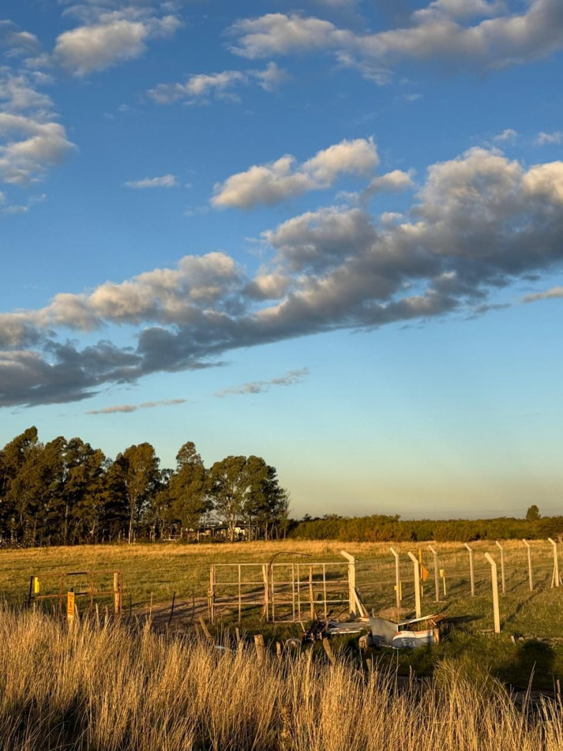 Terreno en Venta en RUTA NACIONAL 3 KM 694,  Bahía Blanca - Bahía Blanca Propiedades | SITIO OFICIAL l