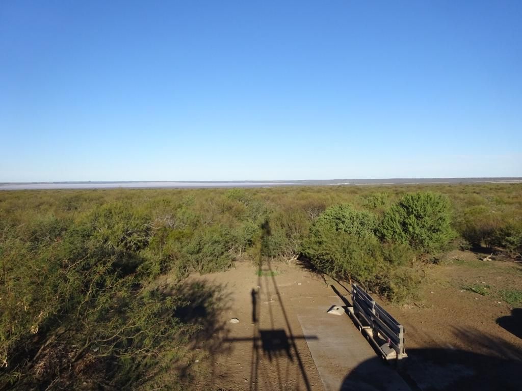 Campo  en Venta   Medanos - Bahía Blanca Propiedades | SITIO OFICIAL l
