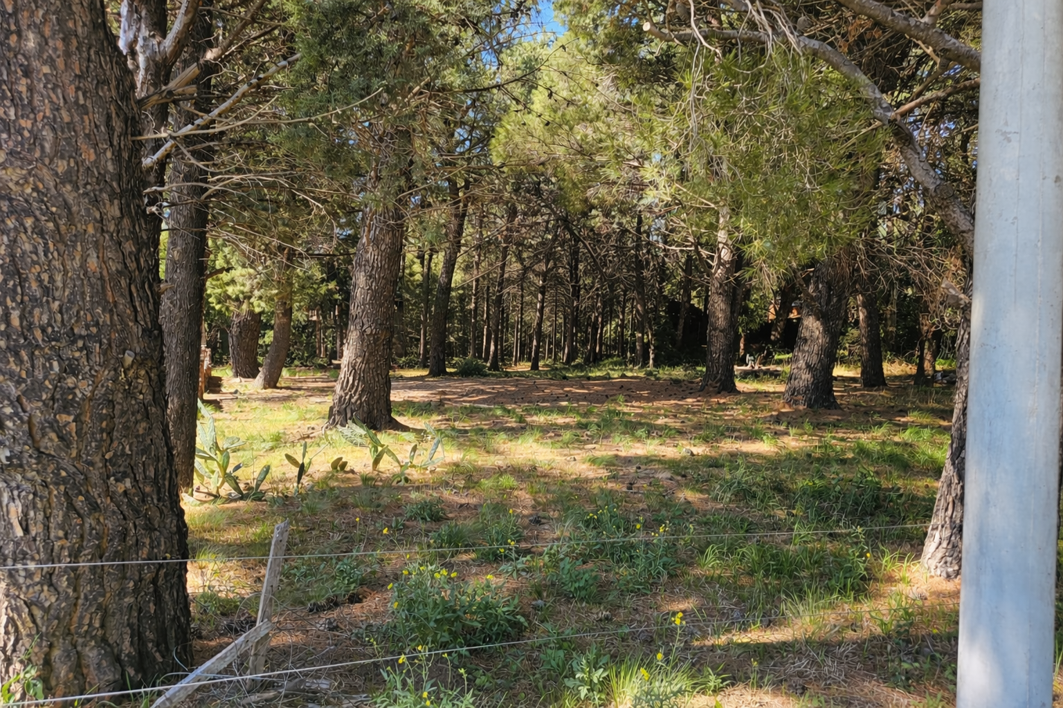 Terreno en Venta en Los Aromos Esquina Los Almendros,  Villa Serrana La Gruta - Bahía Blanca Propiedades | SITIO OFICIAL l