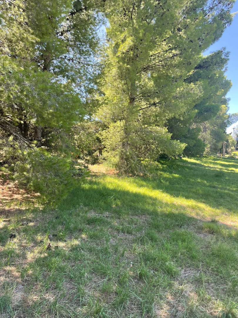 Terreno en Venta en LATANZIO 2700, San Carlos, Bahía Blanca - Bahía Blanca Propiedades | SITIO OFICIAL l