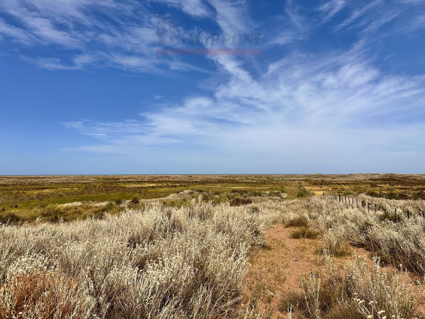 Campo  en Venta   Coronel Dorrego - Bahía Blanca Propiedades | SITIO OFICIAL l