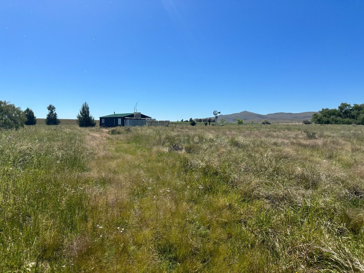 Campo  en Venta en Ruta 72,  Coronel Pringles - Bahía Blanca Propiedades | SITIO OFICIAL l