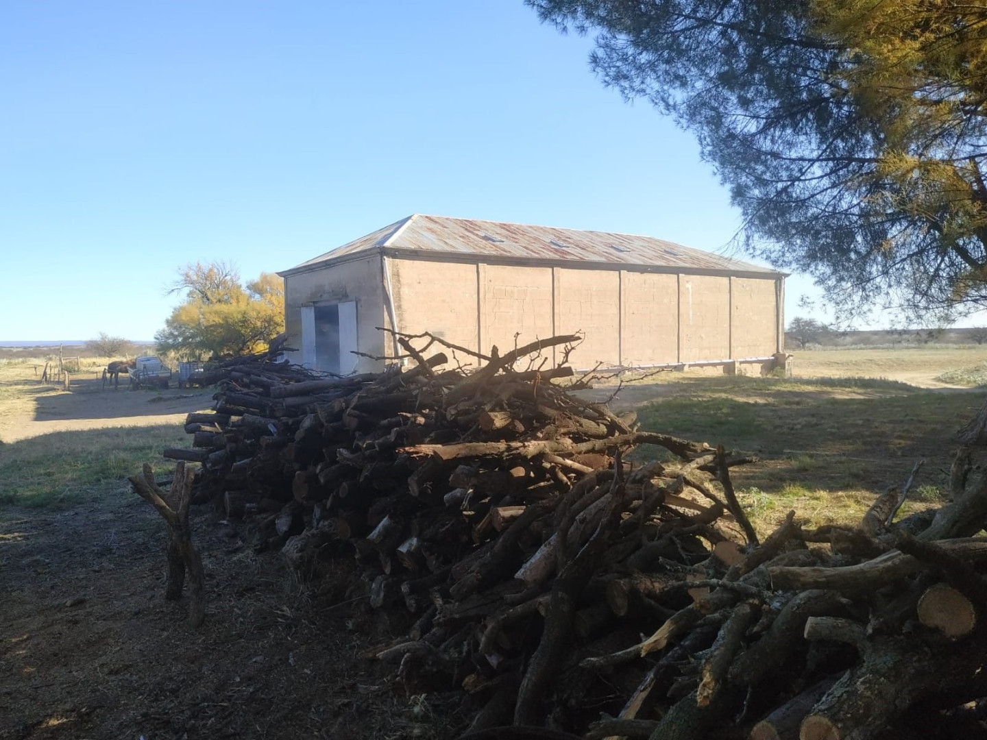 Campo  en Venta   Bernasconi - Bahía Blanca Propiedades | SITIO OFICIAL l