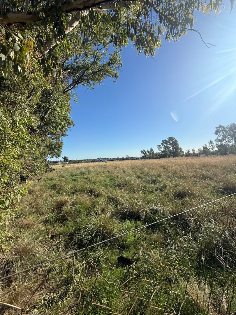 Terreno en Venta en Angel Marcos & Bermudez, Oro Verde, Bahía Blanca - Bahía Blanca Propiedades | SITIO OFICIAL l