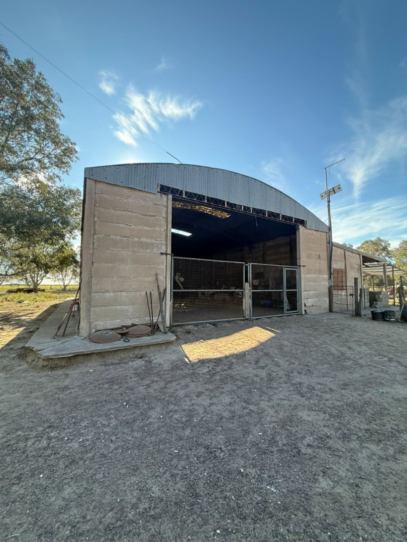 Campo  en Venta   Villalonga - Bahía Blanca Propiedades | SITIO OFICIAL l