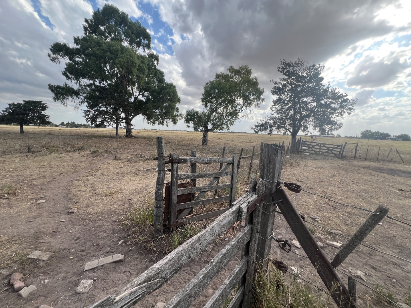 Casaquinta en Venta en Adolfo Kugler 1000,  Tornquist - Bahía Blanca Propiedades | SITIO OFICIAL l