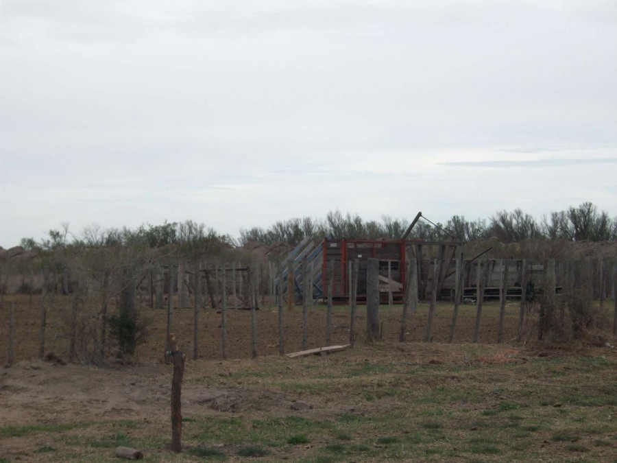 Campo  en Venta en Carmen De Patagones,  Carmen de Patagones - Bahía Blanca Propiedades | SITIO OFICIAL l
