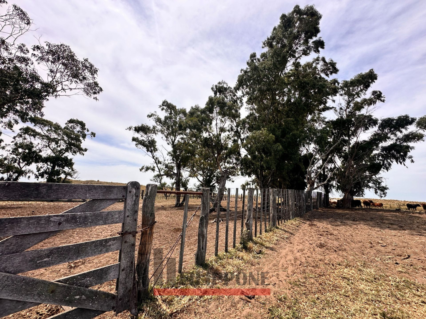 Campo  en Venta   Coronel Dorrego - Bahía Blanca Propiedades | SITIO OFICIAL l