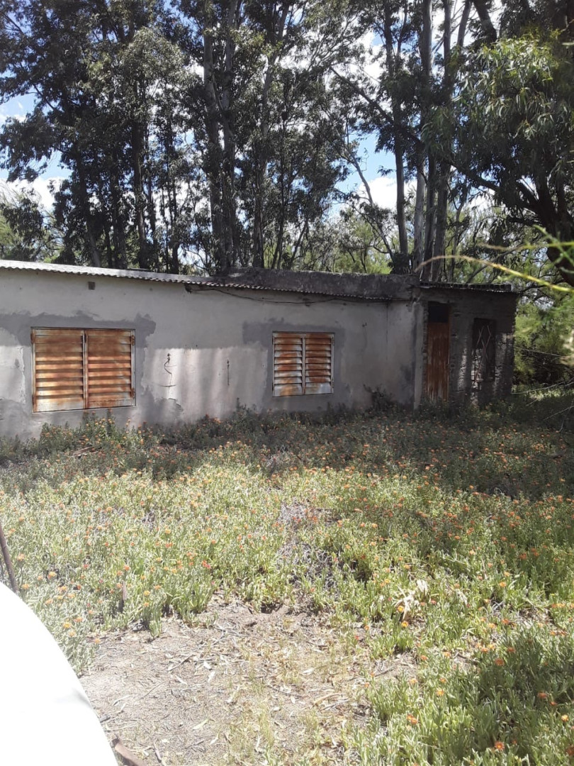 Campo  en Venta   Medanos - Bahía Blanca Propiedades | SITIO OFICIAL l