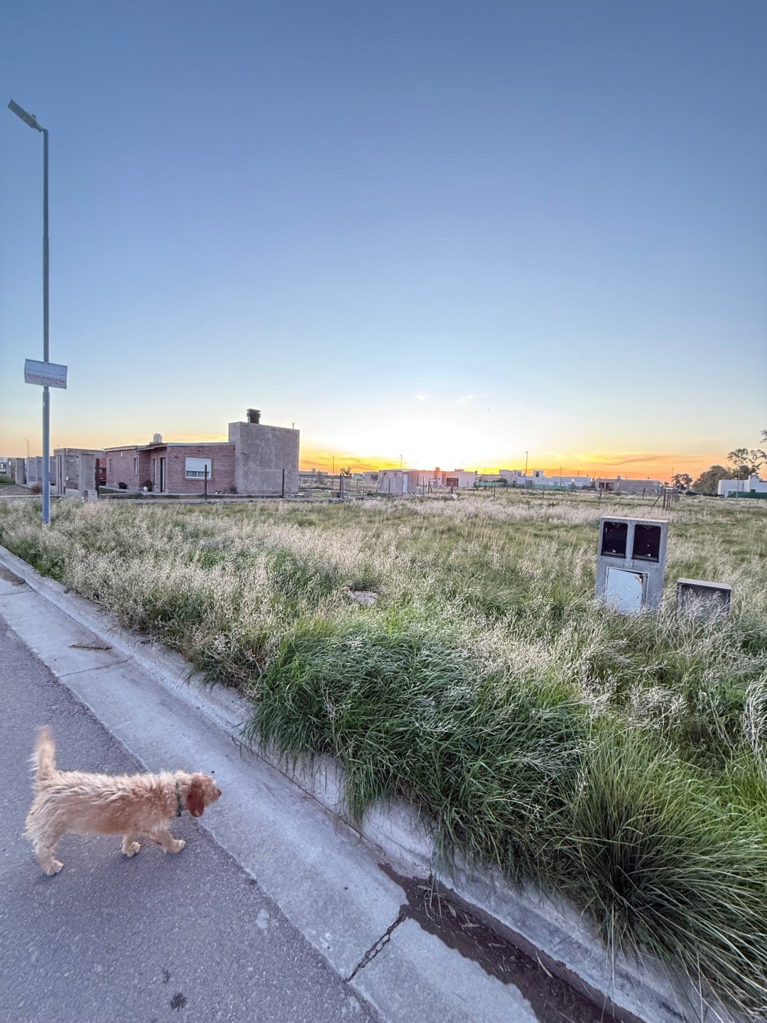 Terreno en Venta en Cambaceres Y Carau, La Merced, Bahía Blanca - Bahía Blanca Propiedades | SITIO OFICIAL l