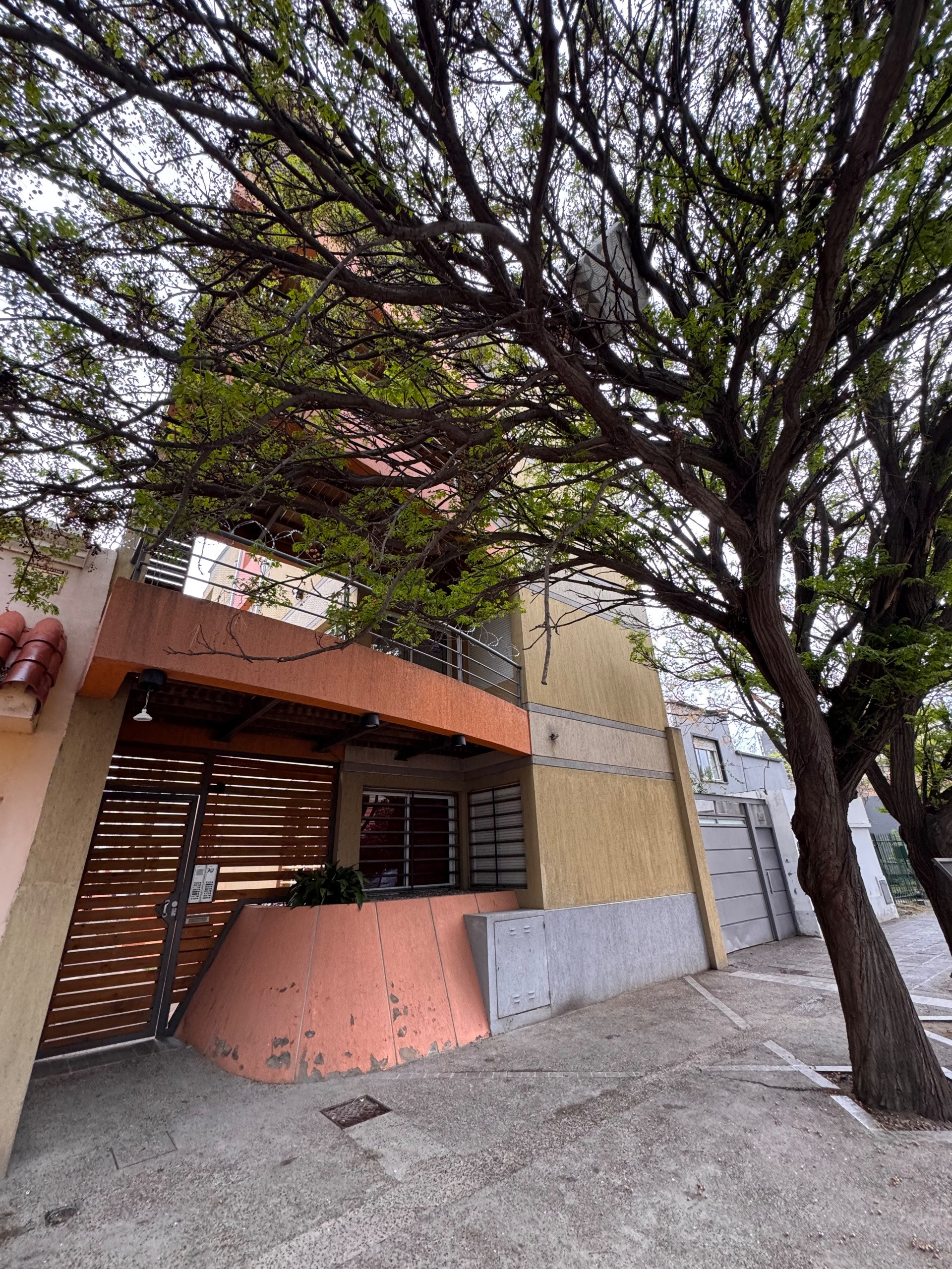 Departamento en Alquiler en Rodríguez 232 ,  Bahía Blanca - Bahía Blanca Propiedades | SITIO OFICIAL l