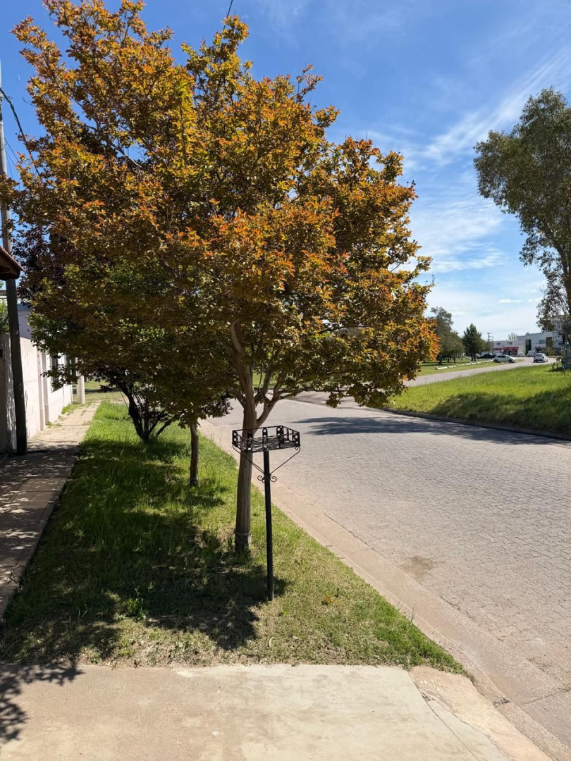 Casa en Venta en Cuyo 1265, Villa del Parque, Bahía Blanca - Bahía Blanca Propiedades | SITIO OFICIAL l
