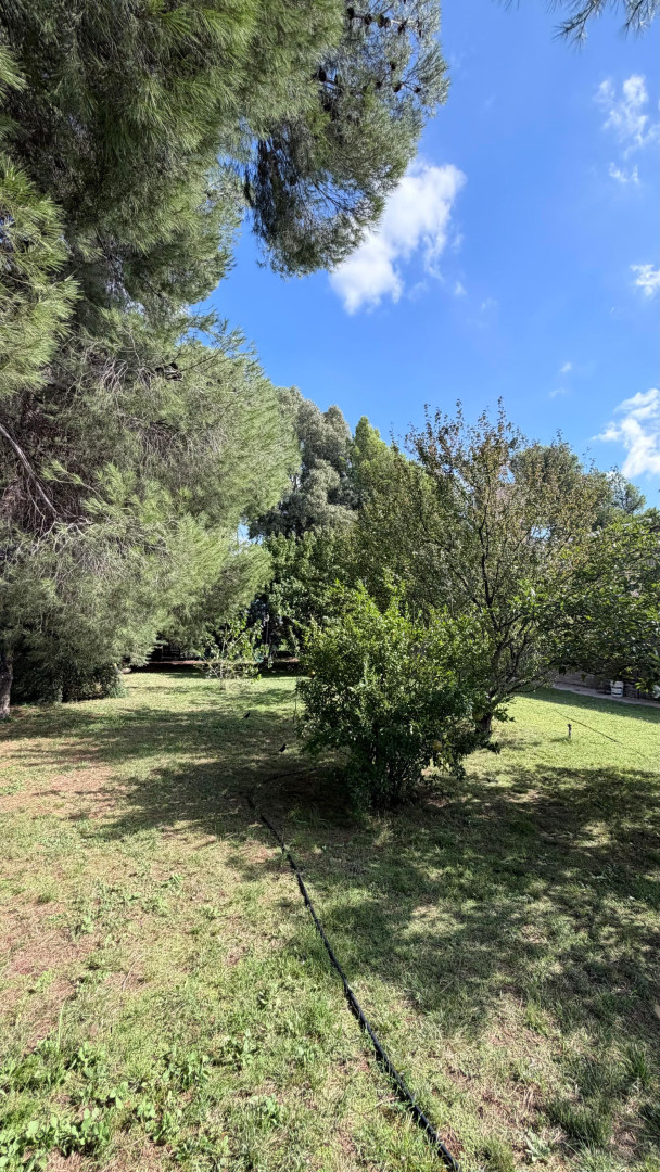 Casa en Venta en RAMON Y CAJAL 5147, Aldea Romana, Bahía Blanca - Bahía Blanca Propiedades | SITIO OFICIAL l