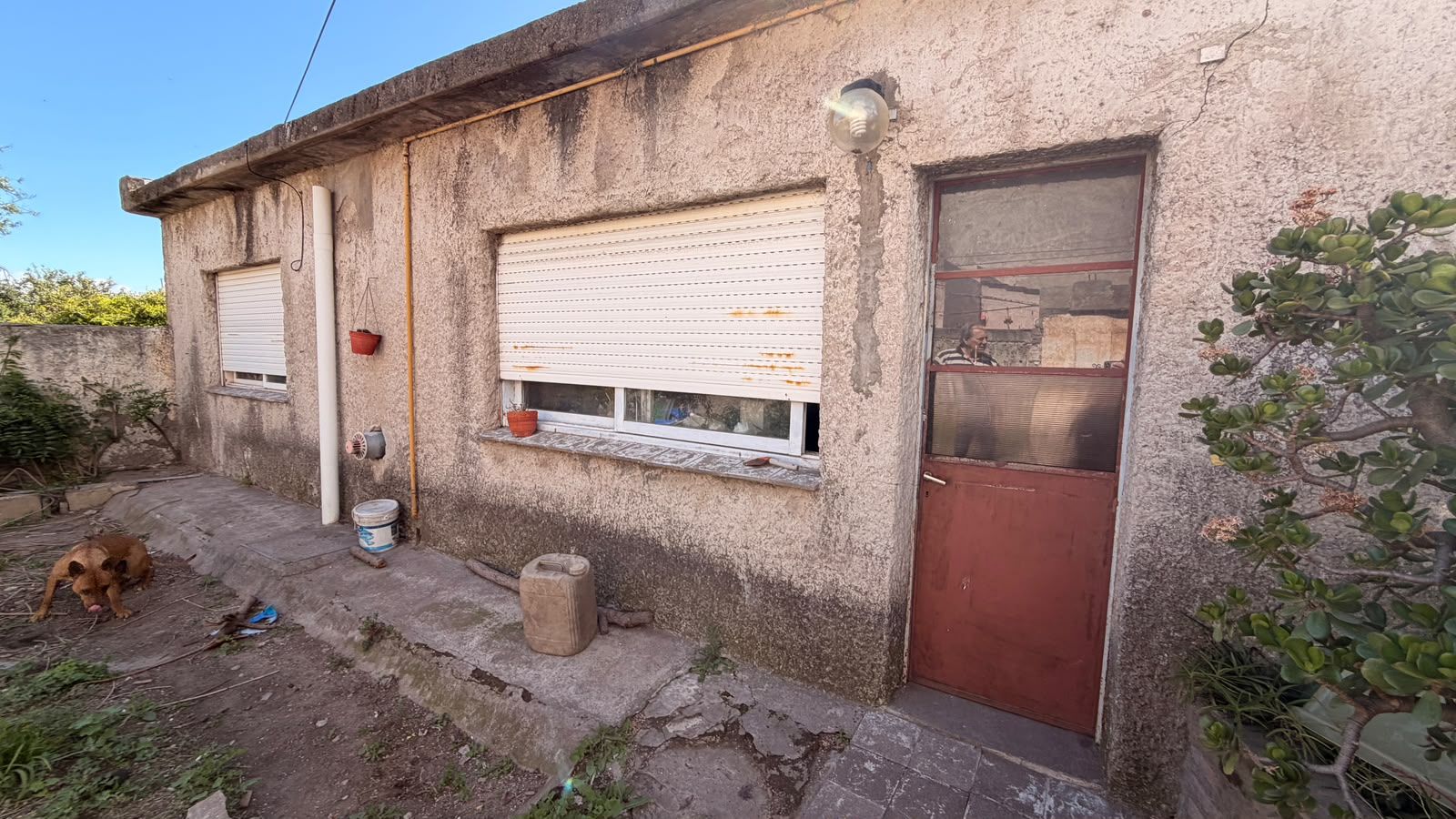 Casa en Venta en French 1125, Pedro Pico, Bahía Blanca - Bahía Blanca Propiedades | SITIO OFICIAL l