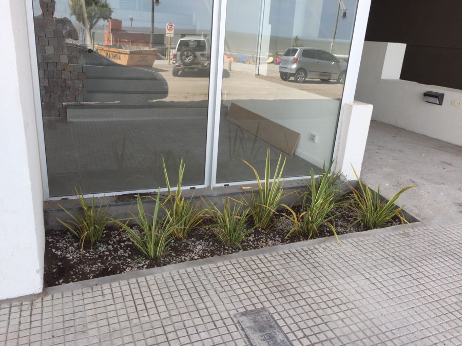Departamento en Venta en Monte Hermoso,  Monte Hermoso - Bahía Blanca Propiedades | SITIO OFICIAL l