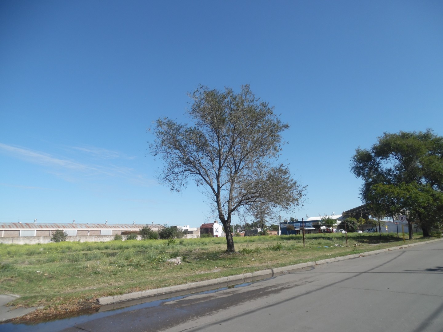 Terreno en Venta en Chile Y 25 De Mayo, Pedro Pico, Bahía Blanca - Bahía Blanca Propiedades | SITIO OFICIAL l