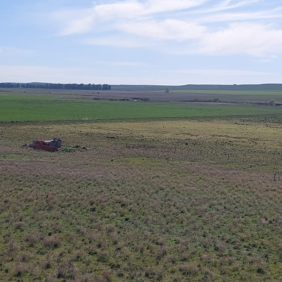 Campo  en Venta en Ruta 35,  Tornquist - Bahía Blanca Propiedades | SITIO OFICIAL l
