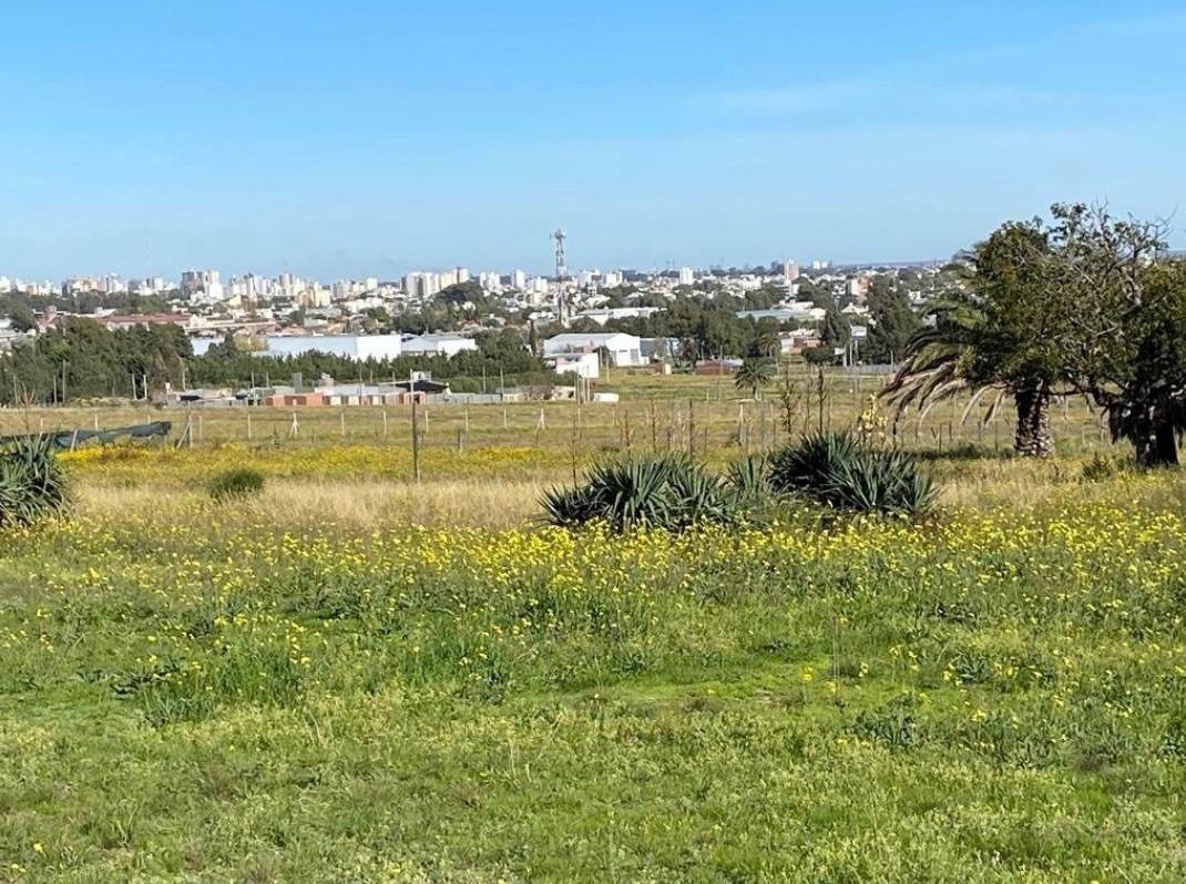 Terreno en Venta en Rigamonti 1895, Villa Belgrano, Bahía Blanca - Bahía Blanca Propiedades | SITIO OFICIAL l
