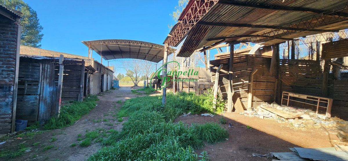 Galpón en Venta en Malvinas 5950,  Bahía Blanca - Bahía Blanca Propiedades | SITIO OFICIAL l
