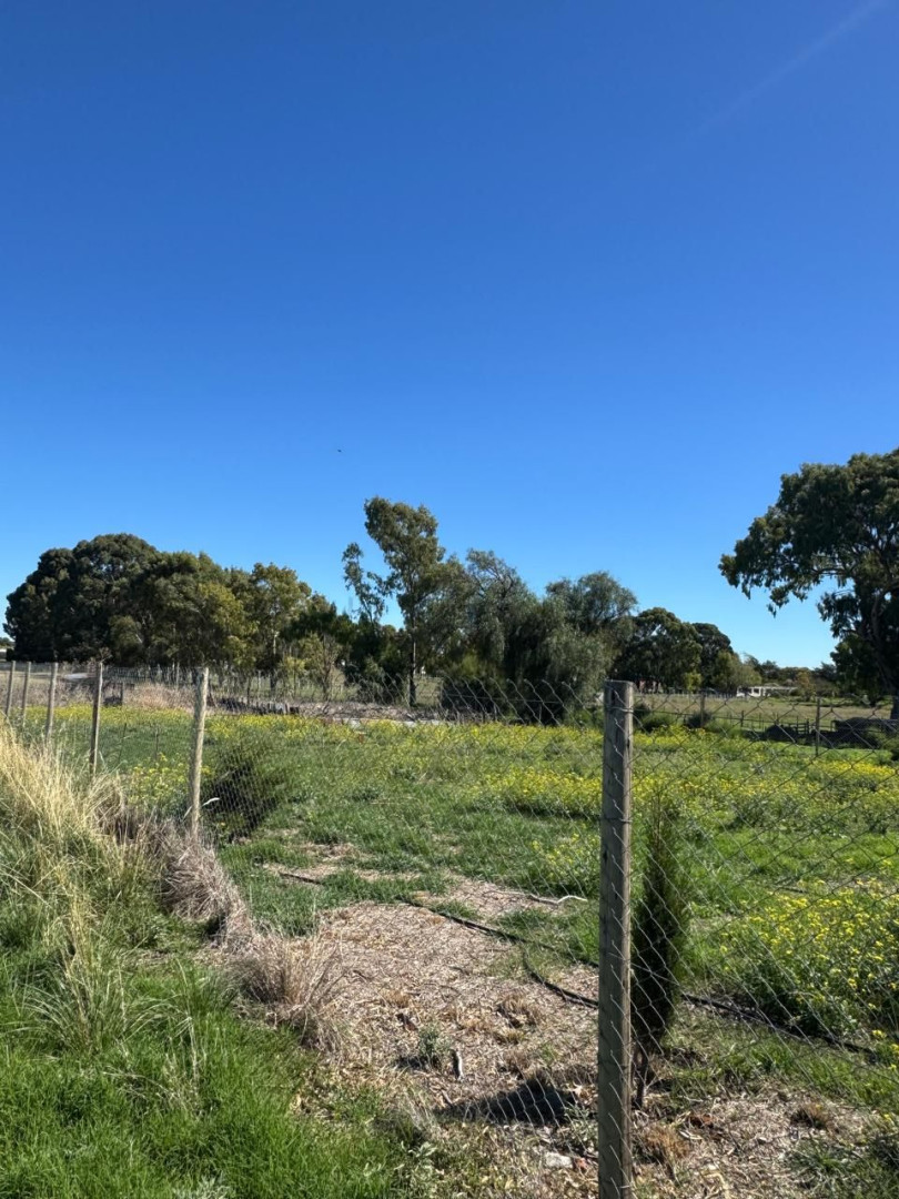 Terreno en Venta en Los Baguales, Saavedra, Provincia De Buenos Aires,  Saavedra - Bahía Blanca Propiedades | SITIO OFICIAL l