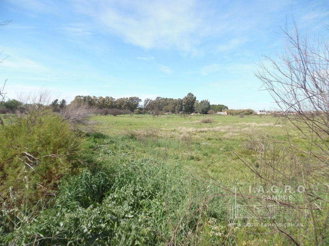 Terreno en Venta en Sixto Laspiur Y Ugarte,  Bahía Blanca - Bahía Blanca Propiedades | SITIO OFICIAL l
