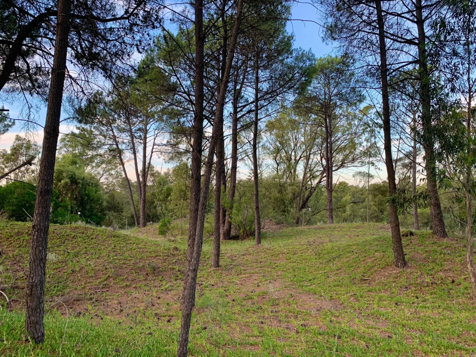 Terreno en Venta en Calle Laurel Y Jazmín, Las Lomas, Monte Hermoso - Bahía Blanca Propiedades | SITIO OFICIAL l