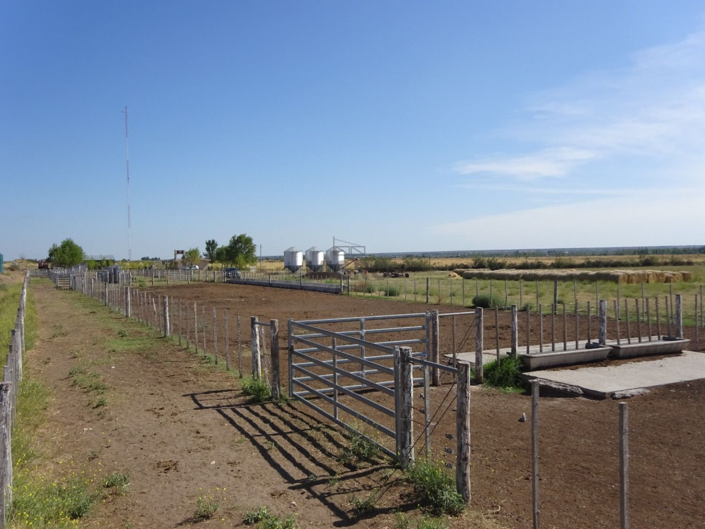 Campo  en Venta en Ruta Nacional 22,  Rio Colorado - Bahía Blanca Propiedades | SITIO OFICIAL l