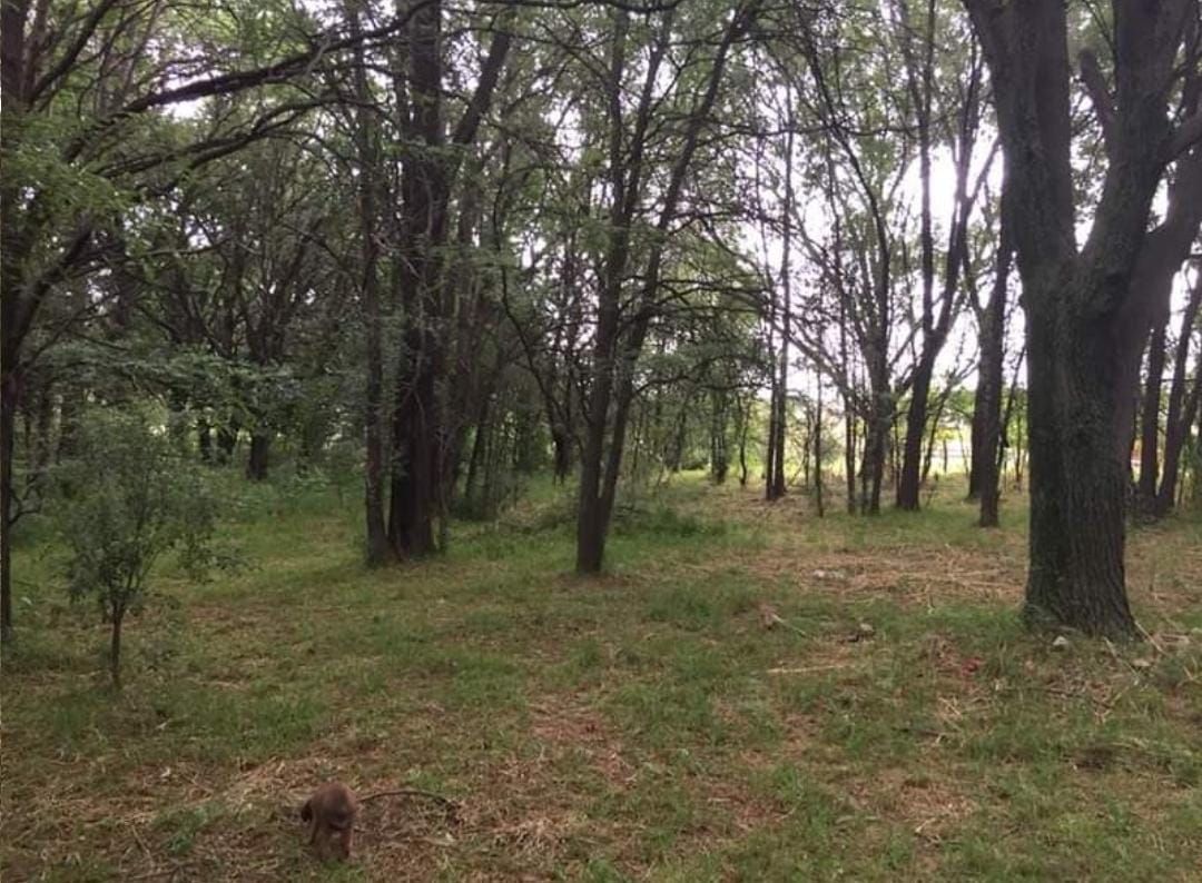 Terreno en Venta en Las Golondrinas Y Horneros,  Villa Serrana La Gruta - Bahía Blanca Propiedades | SITIO OFICIAL l
