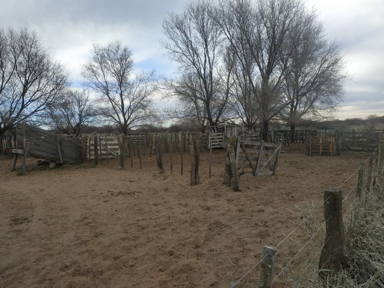 Campo  en Venta   Bernasconi - Bahía Blanca Propiedades | SITIO OFICIAL l