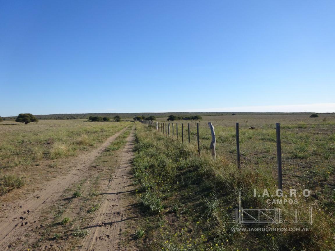 Campo  en Venta en Partido De Villarino,  Villarino - Bahía Blanca Propiedades | SITIO OFICIAL l