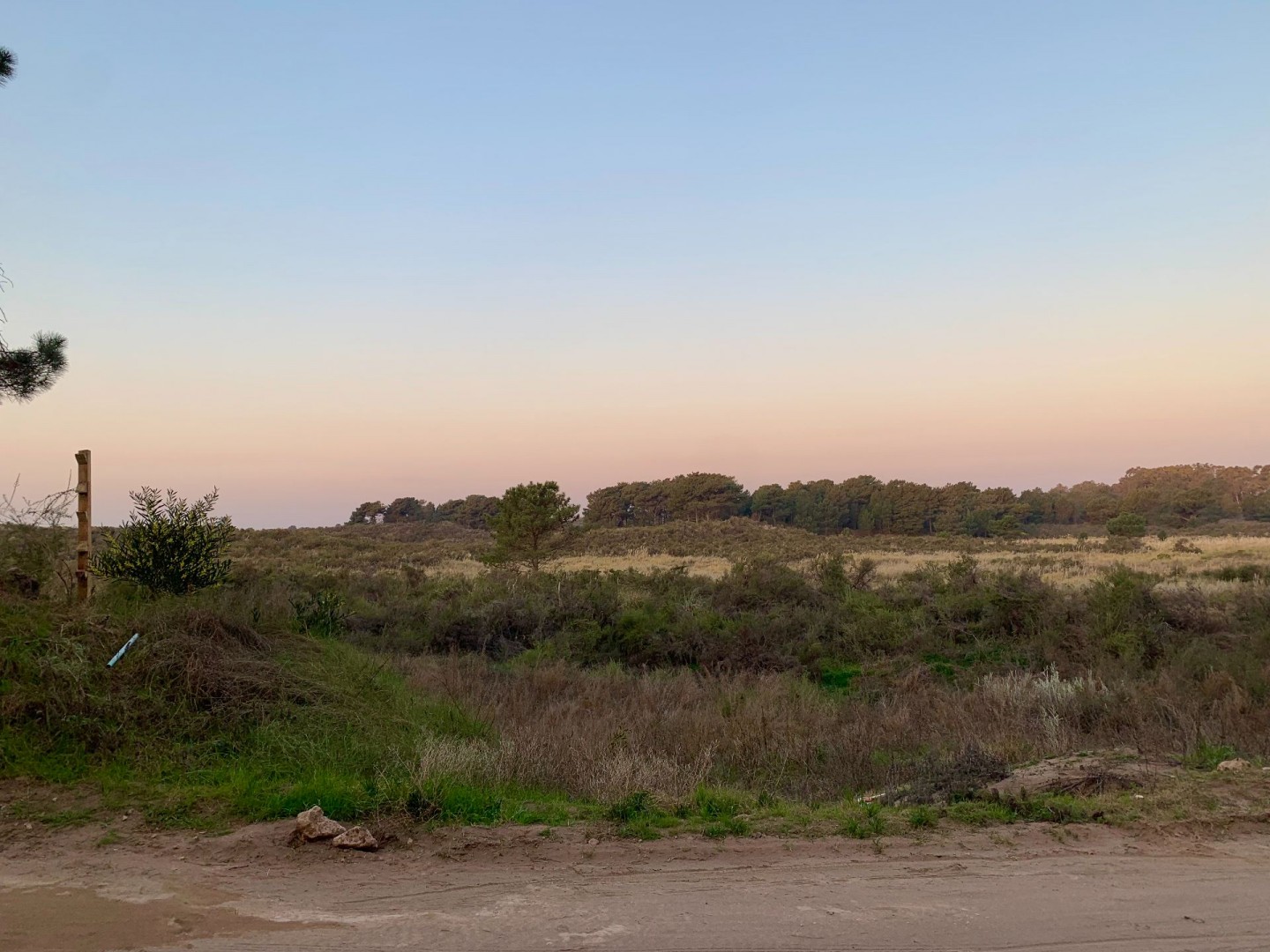 Terreno en Venta en Martinetas, Pinar del Golf, Monte Hermoso - Bahía Blanca Propiedades | SITIO OFICIAL l