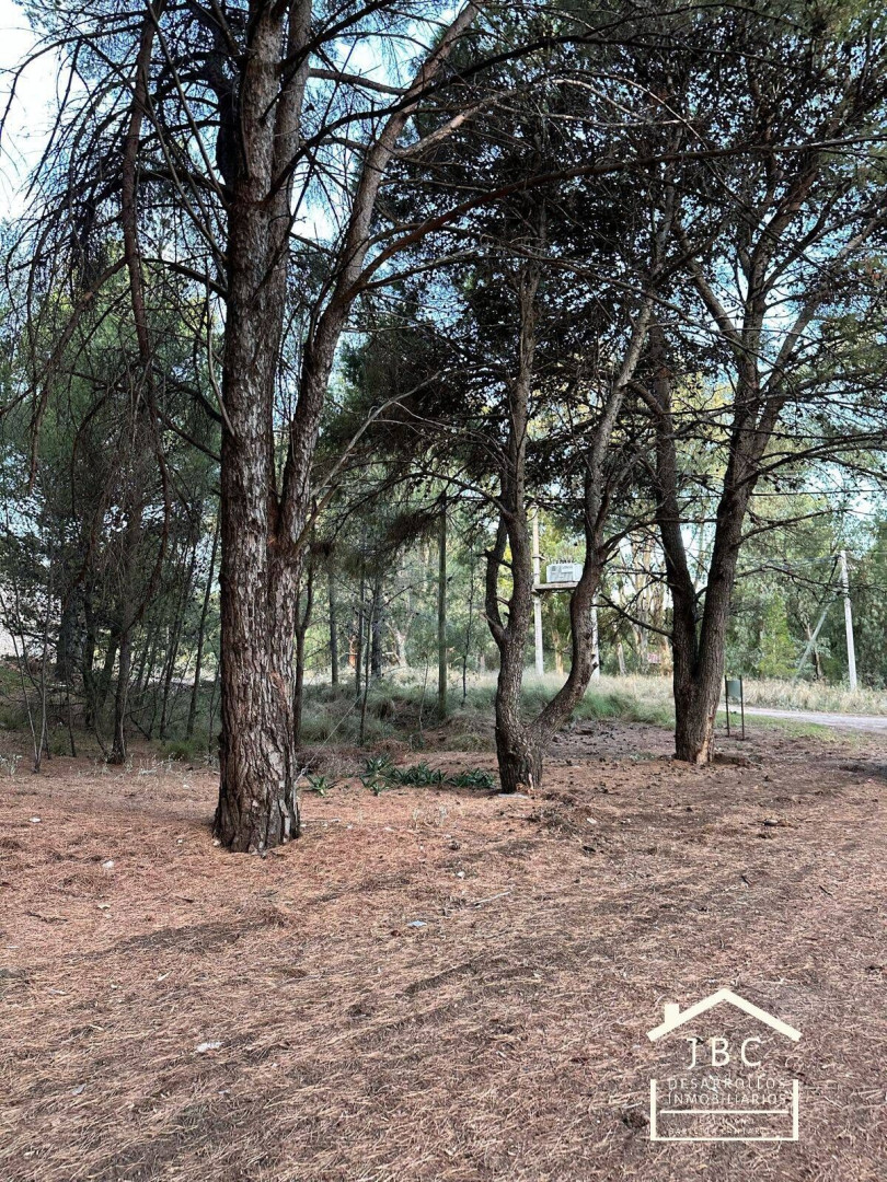 Terreno en Venta en Espora Y LAUQUEN MAPU,  Pehuen Co - Bahía Blanca Propiedades | SITIO OFICIAL l