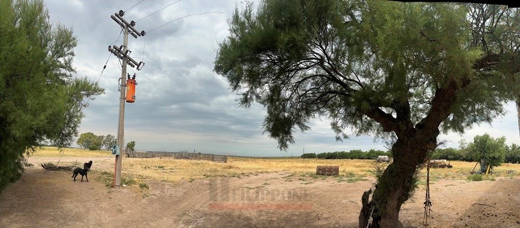 Campo  en Venta en Ruta Nacional 35 Km15,  Bahía Blanca - Bahía Blanca Propiedades | SITIO OFICIAL l